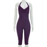 Women Spring/Summer Halter Neck Lace-up Backless Top and Solid Gathered 3/4 Length Pant Two-piece Set
