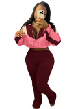 Women's Contrast Color Stand Collar Zip Sportswear Set