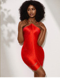 Women's Halter Neck Sequin Fringe See-Through Mesh Bodycon Latin Dance Party Dress