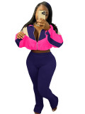 Women's Contrast Color Stand Collar Zip Sportswear Set