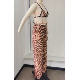 Women Leopard Print Sexy Backless Top and Mesh Pants Two-Piece Set