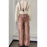 Women Leopard Print Sexy Backless Top and Mesh Pants Two-Piece Set