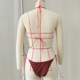 Women Lace-Up Sexy Backless Two-Piece Swimwear