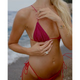 Women Lace-Up Sexy Backless Two-Piece Swimwear