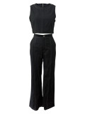Women's Casual Career Holidays Party Long Pants Set