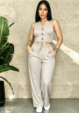 Women's Casual Career Holidays Party Long Pants Set