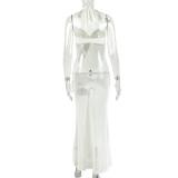 Women's Holidays Solid Color Slightly Elastic Lace-Up Halter Neck Sexy Mesh Long Dress