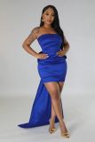 Women Detachable Large Bow Strapless Backless Formal Party Dress