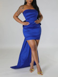 Women Detachable Large Bow Strapless Backless Formal Party Dress