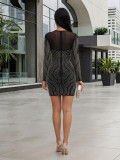 Sequin Mesh Long Sleeve Short Formal Bodycon Dress