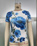 Women's Blue Floral Colorblock Print Slim Fit Round Neck Crop Top