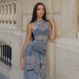 Women's Fashion Semi Sheer Slim Waist Bodycon Round Neck Long Dress