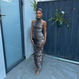 Women's Fashion Sexy Zebra Print Halter Neck Low Back Bodycon Dress