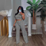 Women Summer Sleeveless Printed Top and Wide-Leg Pants Two-Piece Set