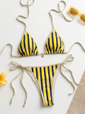 Women's Printed Triangle Lace-Up Charm Bikini Two-Piece Swimsuit