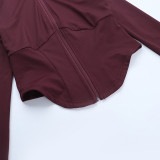 Women's Deep V Zip Long Sleeve Top & Tight Fitting Peach Hip Yoga Shorts Set