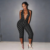 Women Sexy Polka Dot Halter Neck Backless Lace Jumpsuit