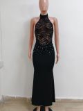 Fashion Lace Patchwork Halter Neck Low Back Mermaid Evening Dress