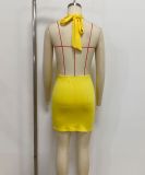Halter Neck Deep V Cowl Neck Rhinestone Bodycon Evening Dress