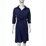 Women's Chic Striped Long Sleeves Slim Waist Shirt Dress