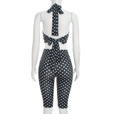 Summer Women's Halter Neck Strapless Lace-Up Low Back Polka Dot Print Top & High Waist Cropped Pants Set