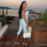Summer Women's Casual Striped Print Halter Neck Lace-Up Top & Cropped Pants Two-Piece Set