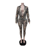 Women's Zebra Print Mesh High Stretch Slim Fit Pants Two-Piece Set