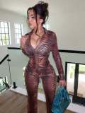 Women's Fashion Mesh Printed High Stretch Pants Two-Piece Set