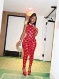 Autumn Winter Women's Shiny Mesh Sleeveless Sexy Jumpsuit