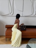 Women's Chic Halter Neck Low Back Ruched Bodycon Long Dress