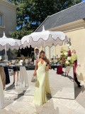 Women's Chic Halter Neck Low Back Ruched Bodycon Long Dress