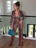 Women's Fashion Mesh Printed High Stretch Pants Two-Piece Set
