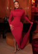 Women Solid Half-High Neck Asymmetrical Sleeve Dress