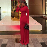 Women Solid Half-High Neck Asymmetrical Sleeve Dress
