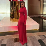 Women Solid Half-High Neck Asymmetrical Sleeve Dress