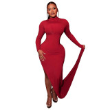 Women Solid Half-High Neck Asymmetrical Sleeve Dress