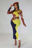 Women Color-Block Long-Sleeve Bodycon Dress