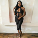 Women Halter-Neck Lace-Up Backless Top and Pants Set