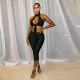 Women Halter-Neck Lace-Up Backless Top and Pants Set