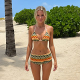 Women's Holiday Tropical Wave Print Halter Neck Bikini Top & Shorts Two-Piece Set