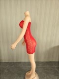 Women's Sexy See-Through Lace Strapless Stretch Bodycon Dress