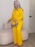 Women's Fashion Beaded Pleated Long Sleeve Turndown Collar Shirt and Wide Leg Pants Two-Piece Set