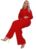 Women's Fashion Beaded Pleated Long Sleeve Turndown Collar Shirt and Wide Leg Pants Two-Piece Set
