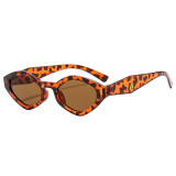 Fashion Chic Polygon Small Frame UV Protection Sunglasses