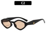 Fashion Chic Polygon Small Frame UV Protection Sunglasses