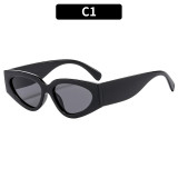 Fashion Black & White Sunglasses