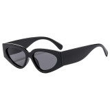 Fashion Black & White Sunglasses