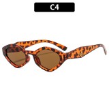 Fashion Chic Polygon Small Frame UV Protection Sunglasses