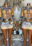 Women Sexy Printed Mesh Top and Skirt Two Piece Set