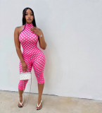 Women Spring/Summer Polka Dot Print Streetchy Halter Neck Backless Jumpsuit